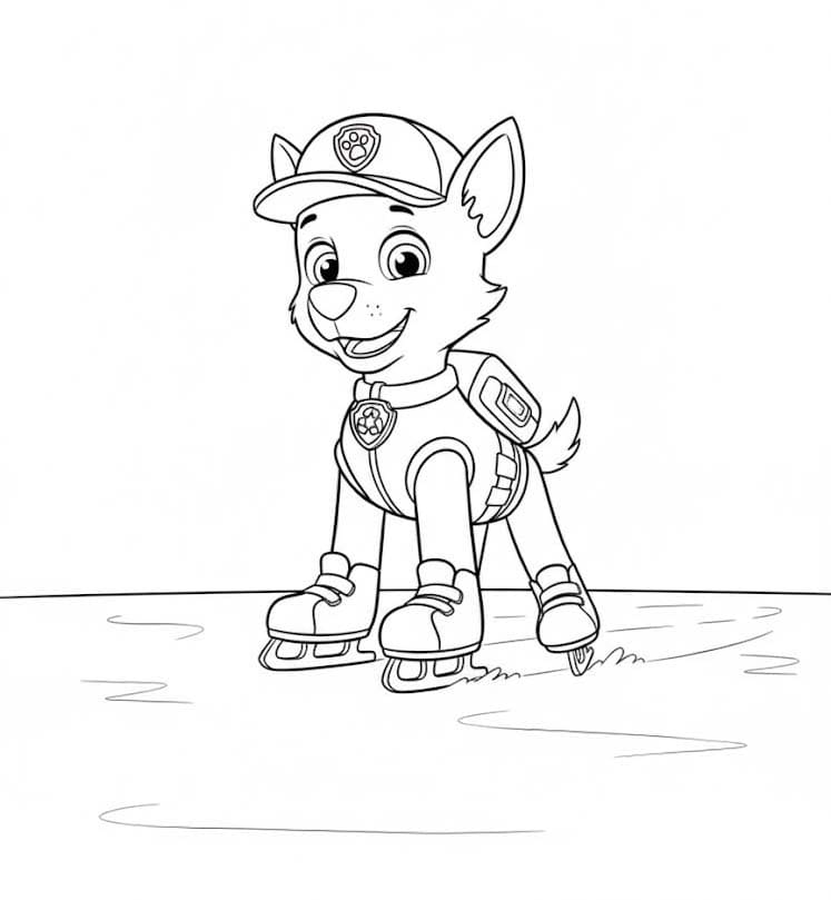 Rocky Paw Patrol voor kinderen
