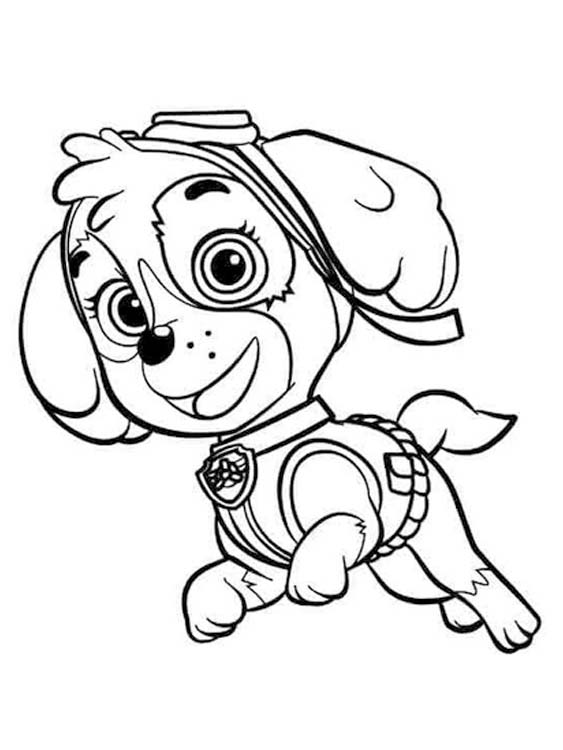 Skye Paw Patrol afdrukbaar basis