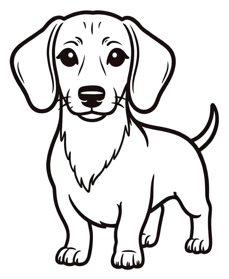 Teckel afdrukbaar voor kinderen