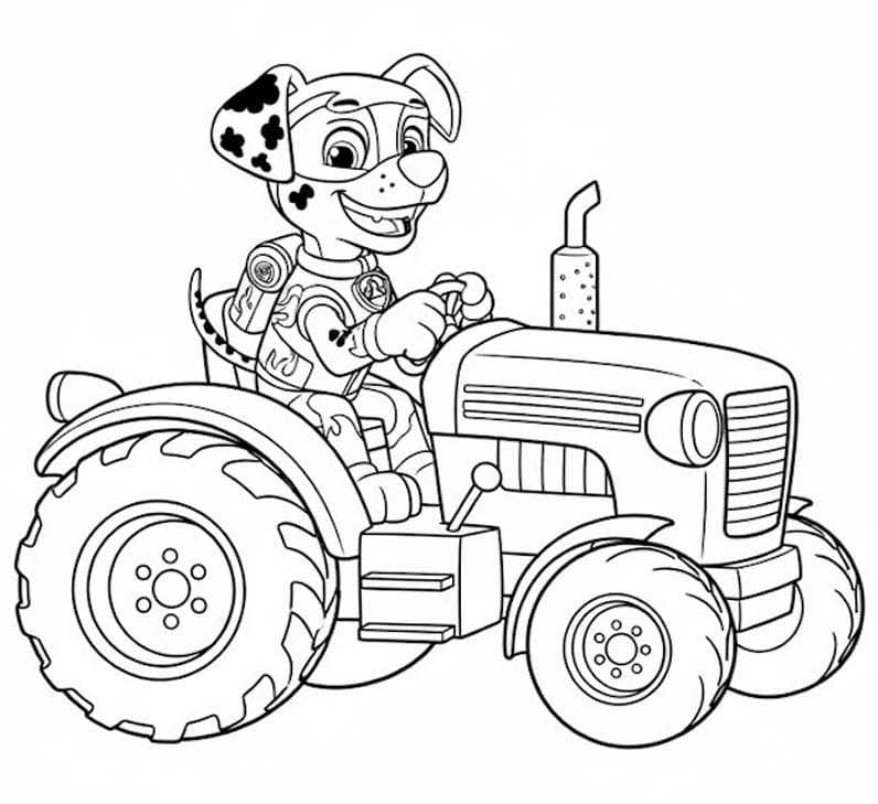 Tekenen Marshall Paw Patrol gratis afdrukbaar basis