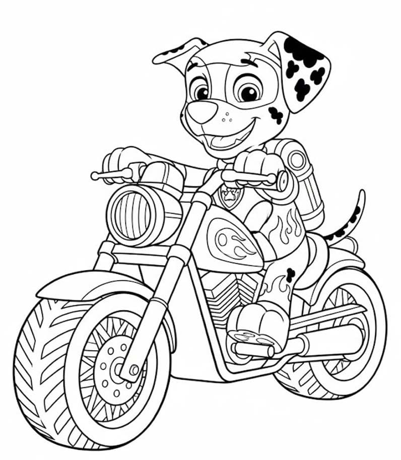 Tekenen Marshall Paw Patrol voor kinderen