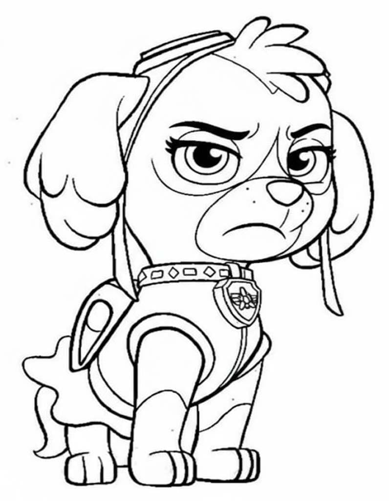 Tekenen Skye Paw Patrol afdrukbaar voor kinderen