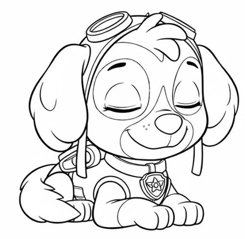 Tekenen Skye Paw Patrol basis