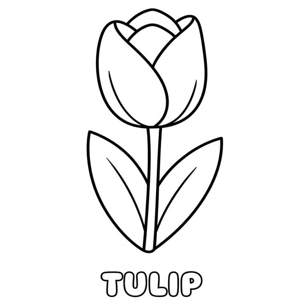 Tekenen Tulpen simpel