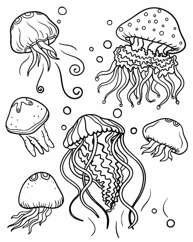 Tekenen Zeedieren gratis