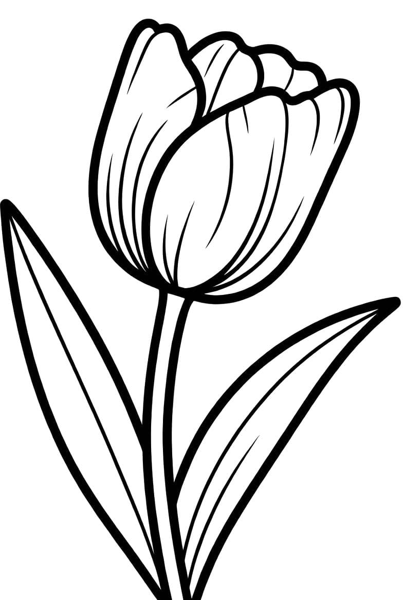 Tulpen afdrukbaar simpel