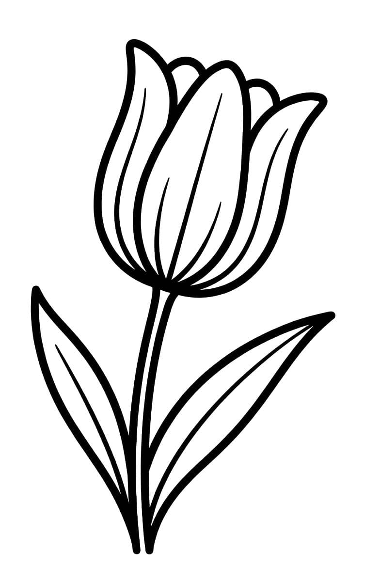 Tulpen gratis simpel