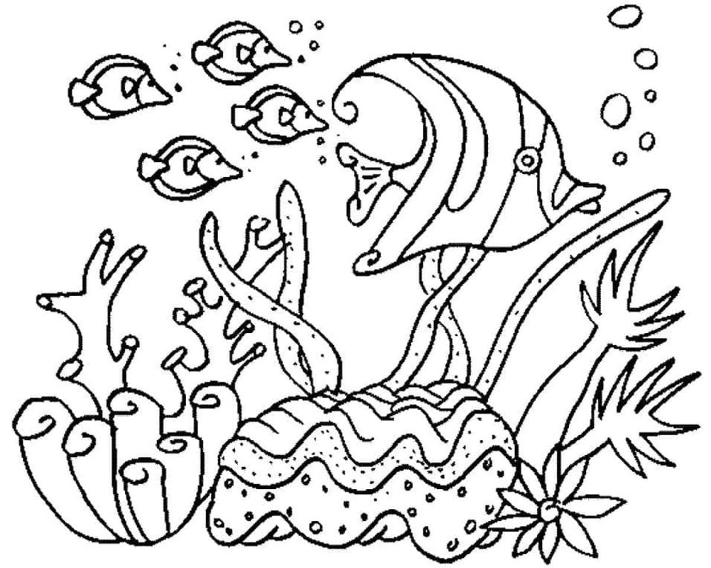 Zeedieren gratis afdrukbaar simpel