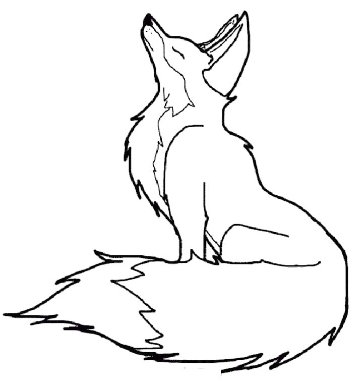Afbeelding Vossen gratis afdrukbaar