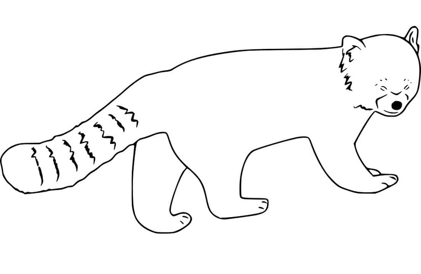 Rode Panda gratis afdrukbaar basis