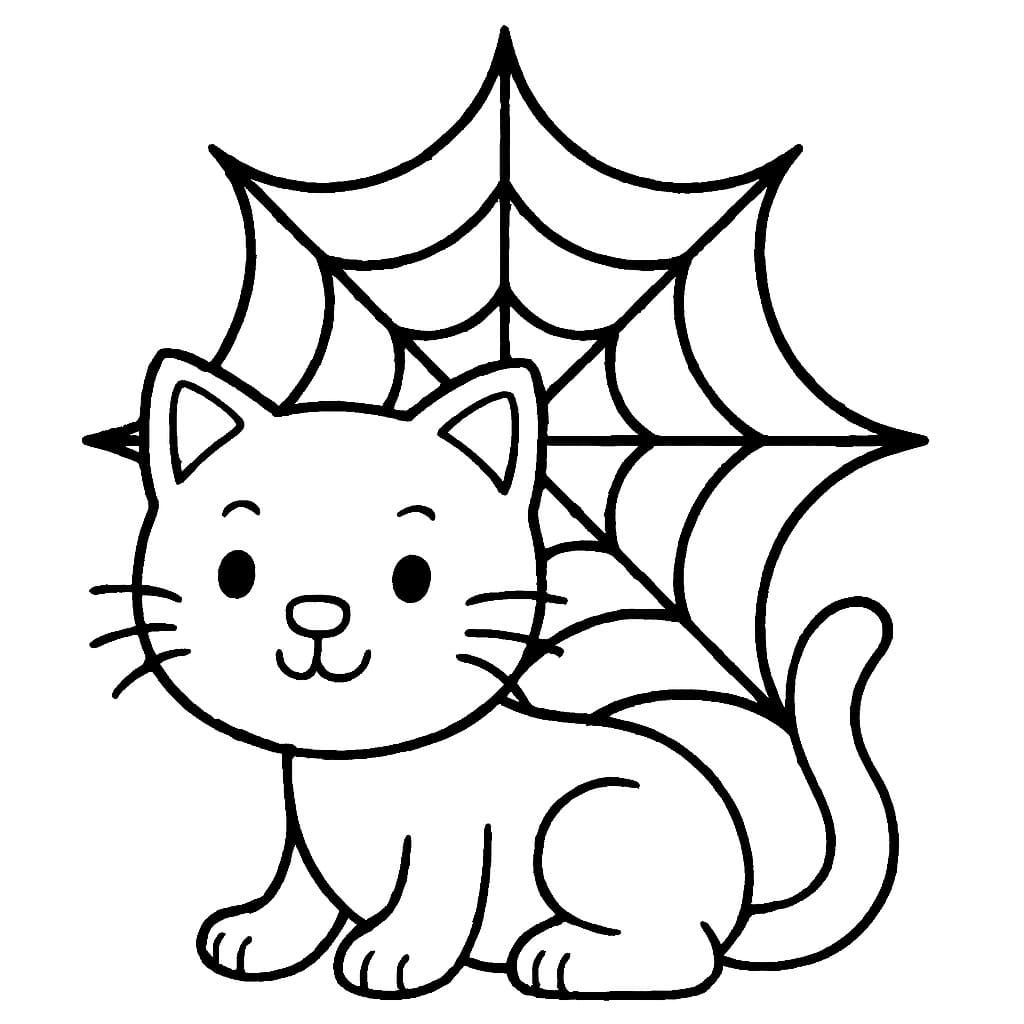 Spinnenweb voor kinderen