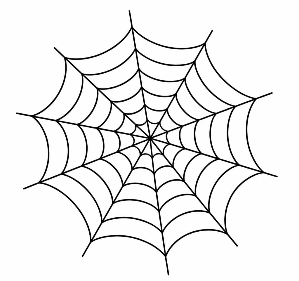 Tekenen Spinnenweb gratis afdrukbaar eenvoudig