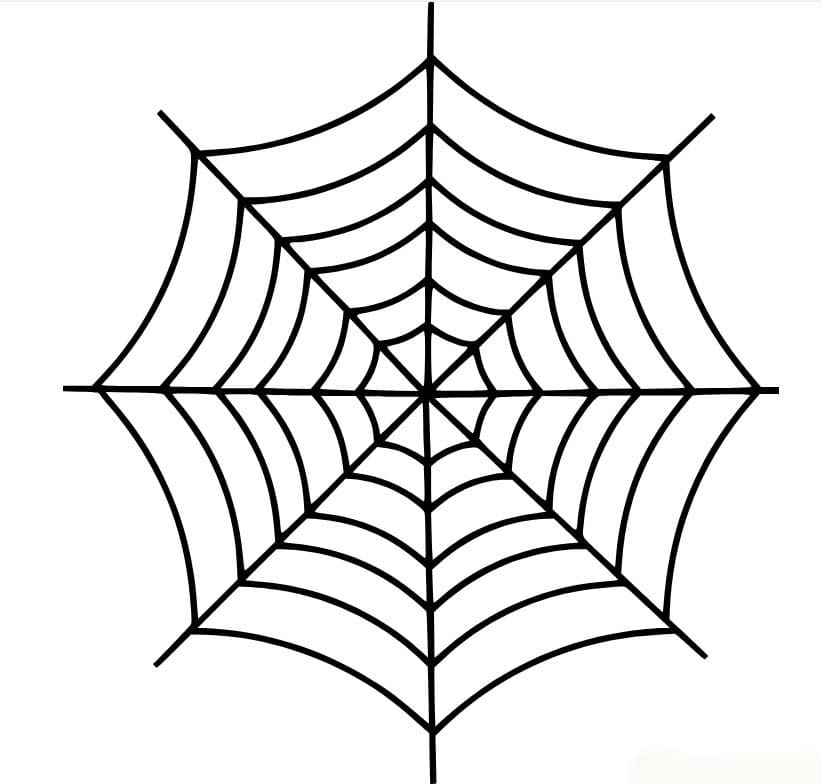 Tekenen Spinnenweb gratis eenvoudig