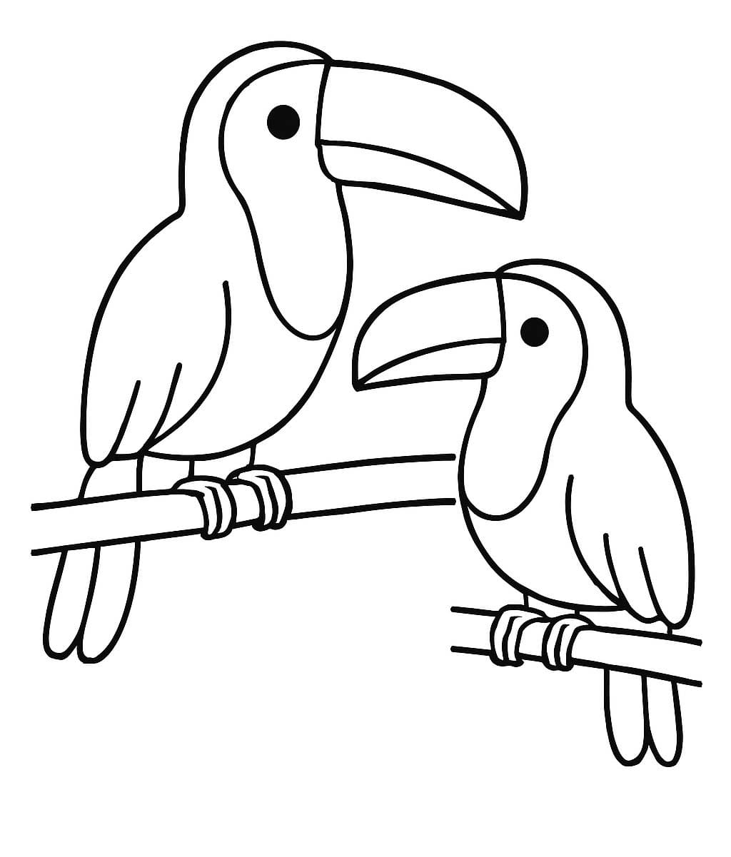 Tekenen Toekan basis