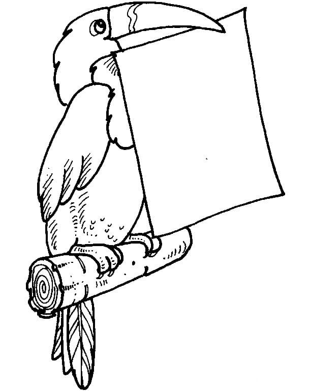 Tekenen Toekan gratis