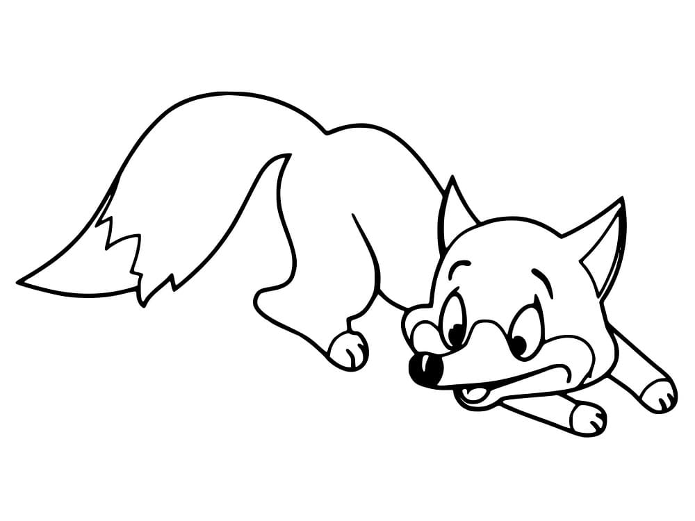 Tekenen Vossen basis