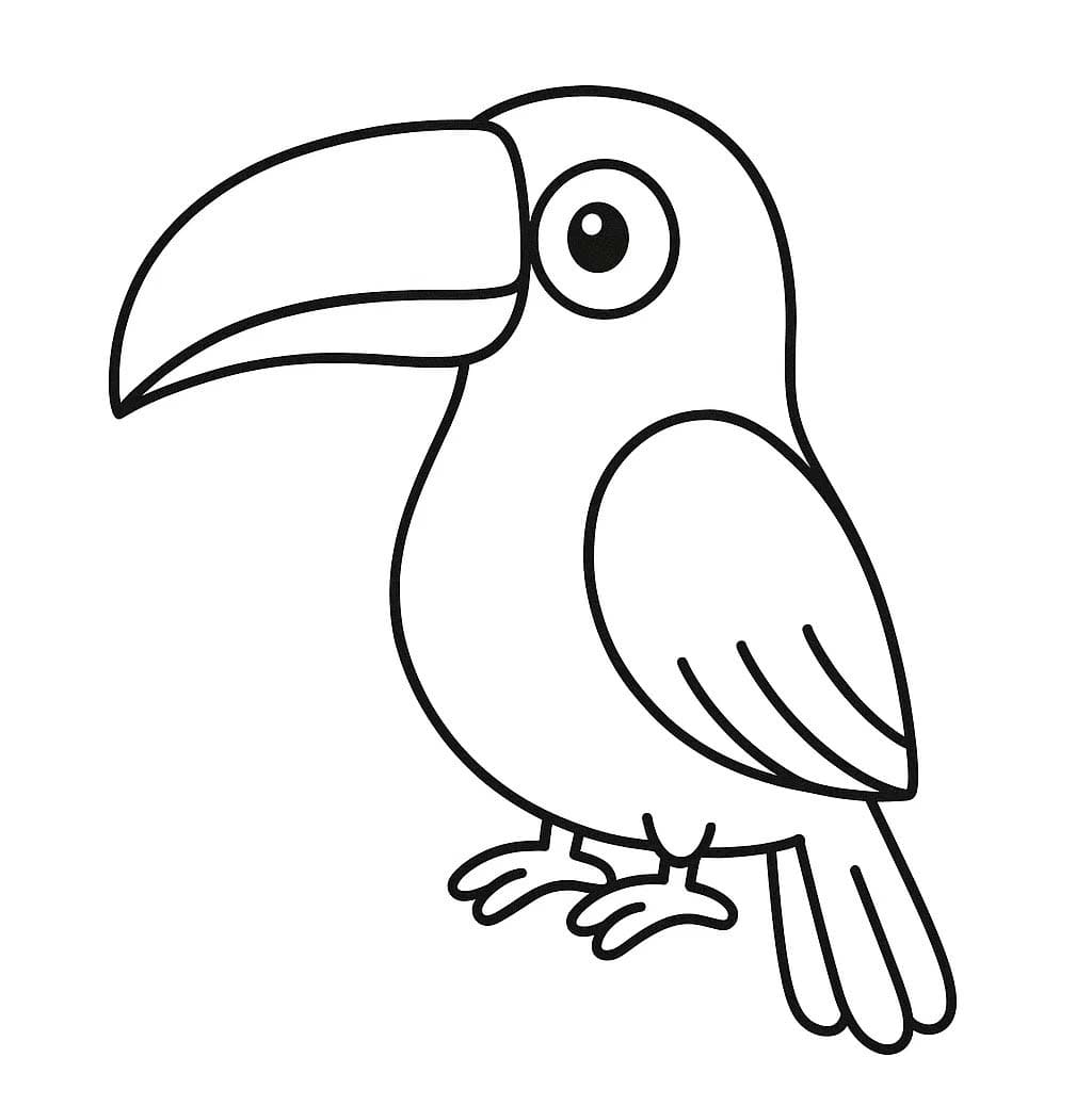 Toekan voor kinderen