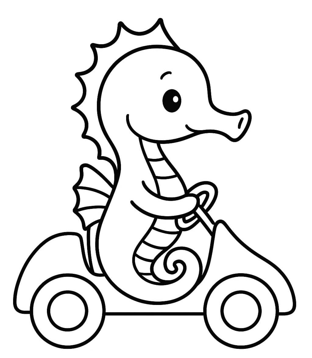 Afbeelding Zeepaardjes