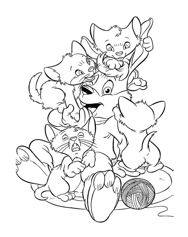 Tekenen Bobo gratis basis