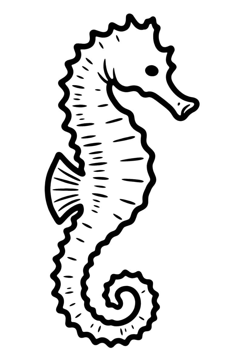 Zeepaardjes gratis afdrukbaar