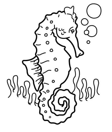 Zeepaardjes gratis eenvoudig