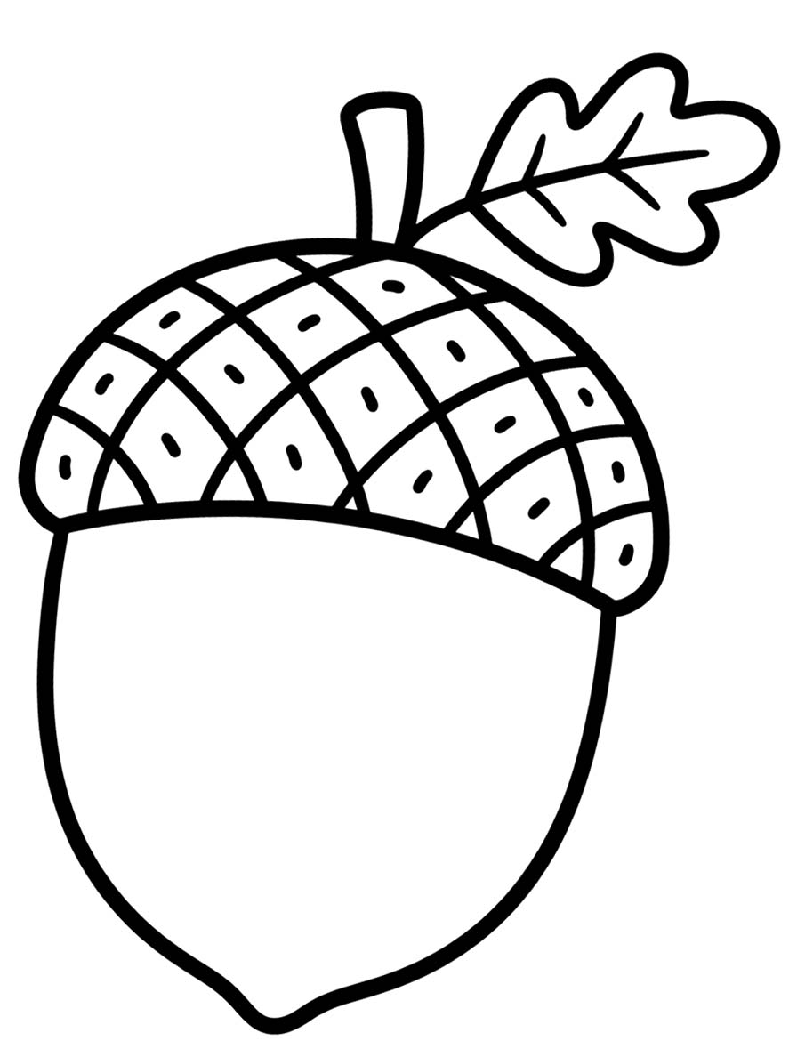 Afbeelding Eikel gratis afdrukbaar