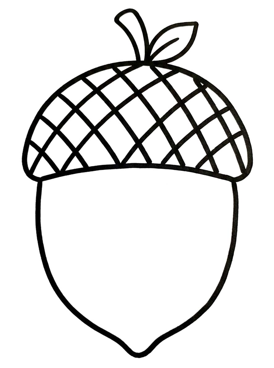 Afbeelding Eikel gratis