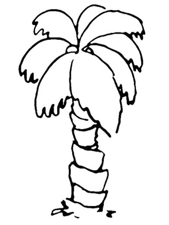 Afbeelding Palmboom gratis