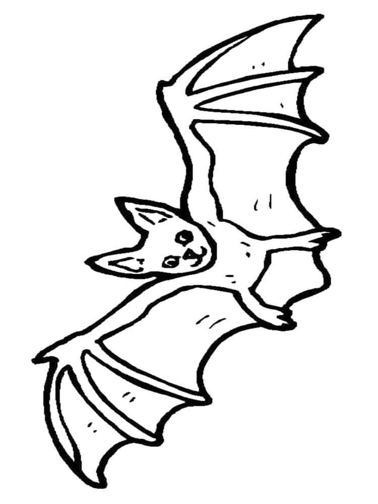 Afbeelding Vleermuizen gratis afdrukbaar