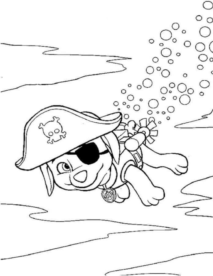 Afbeelding Zuma Paw Patrol afdrukbaar