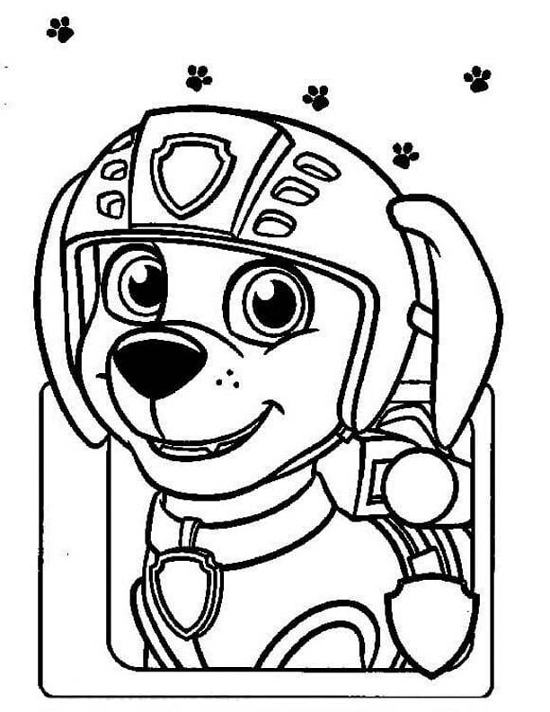 Afbeelding Zuma Paw Patrol