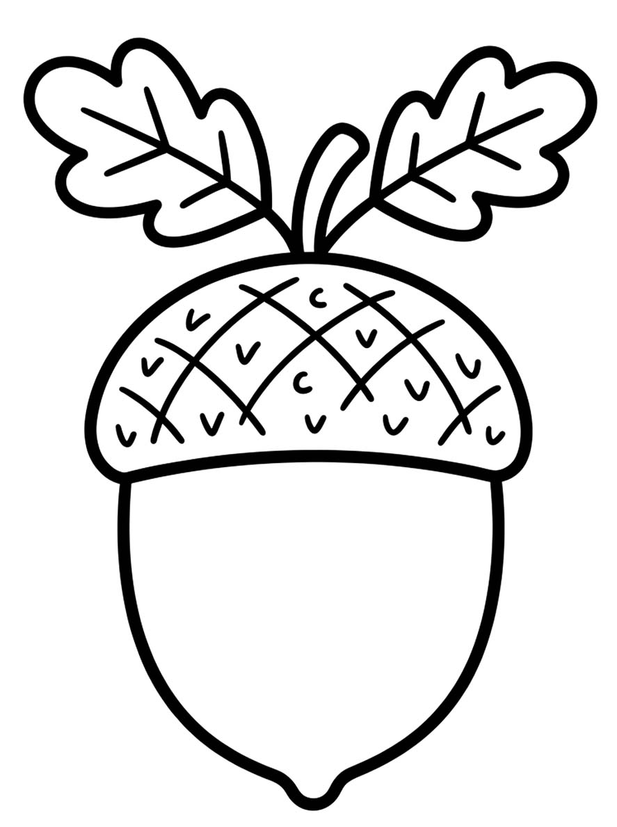 Eikel afdrukbaar basis