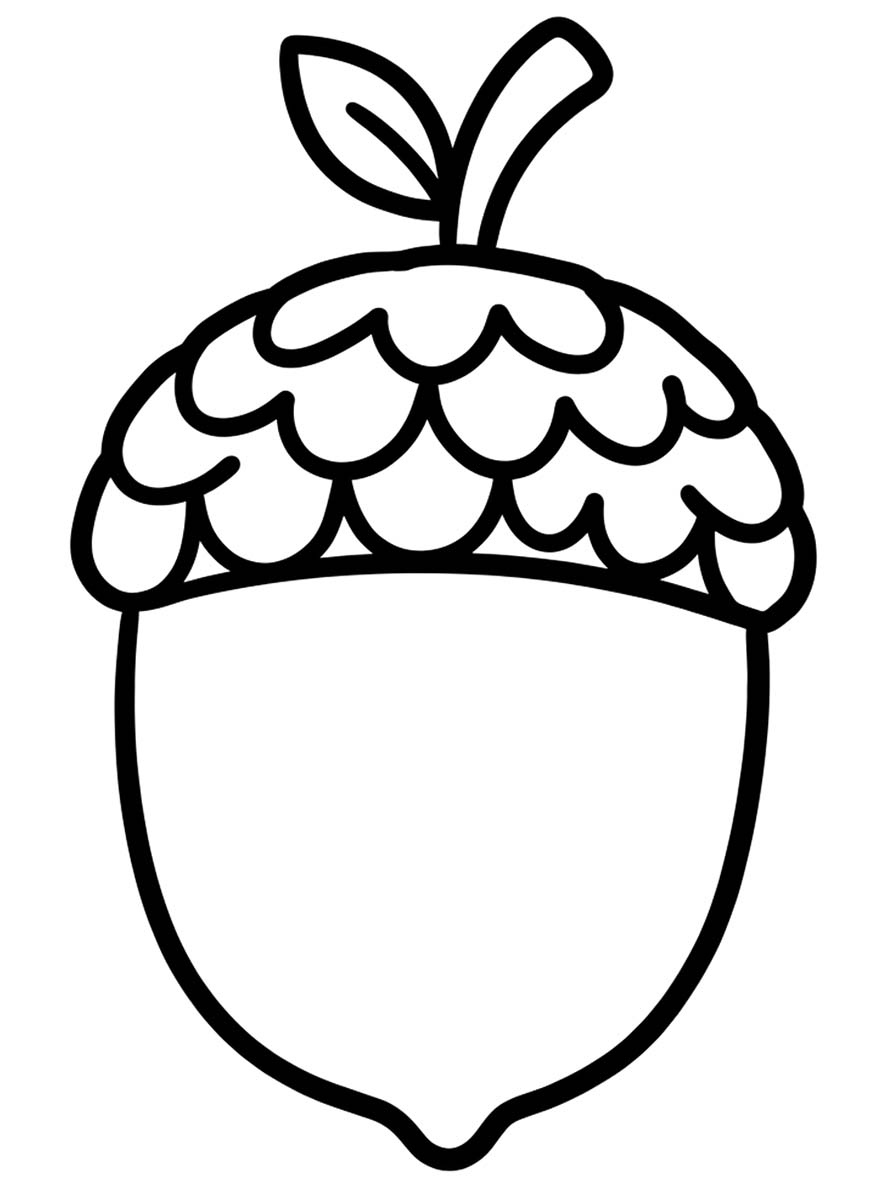 Eikel gratis afdrukbaar basis