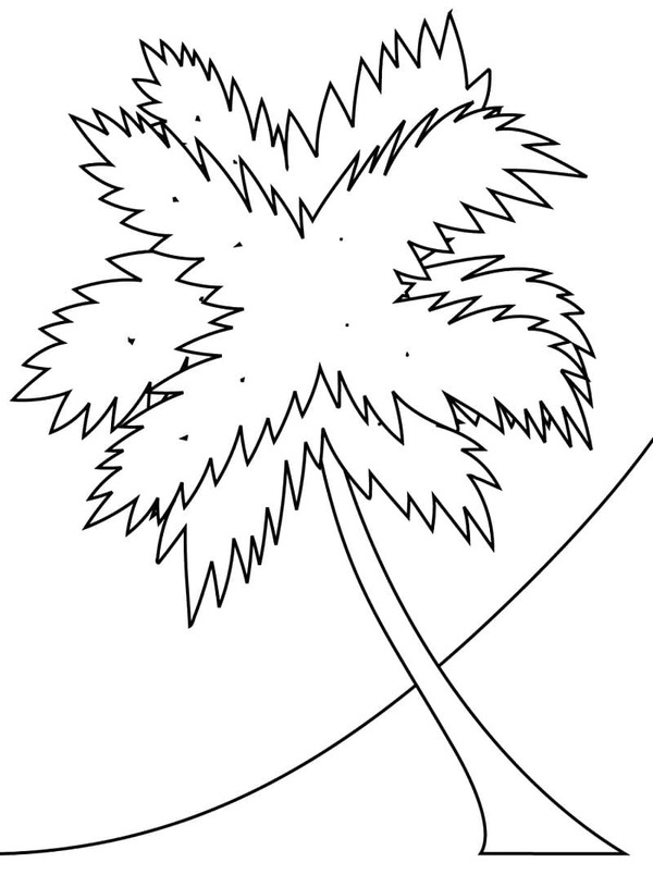 Palmboom gratis afdrukbaar voor kinderen