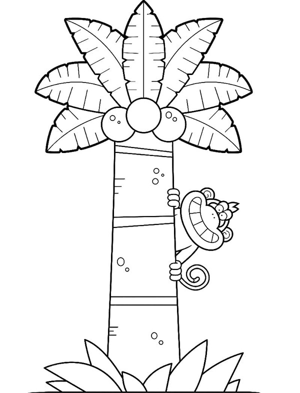 Palmboom gratis basis