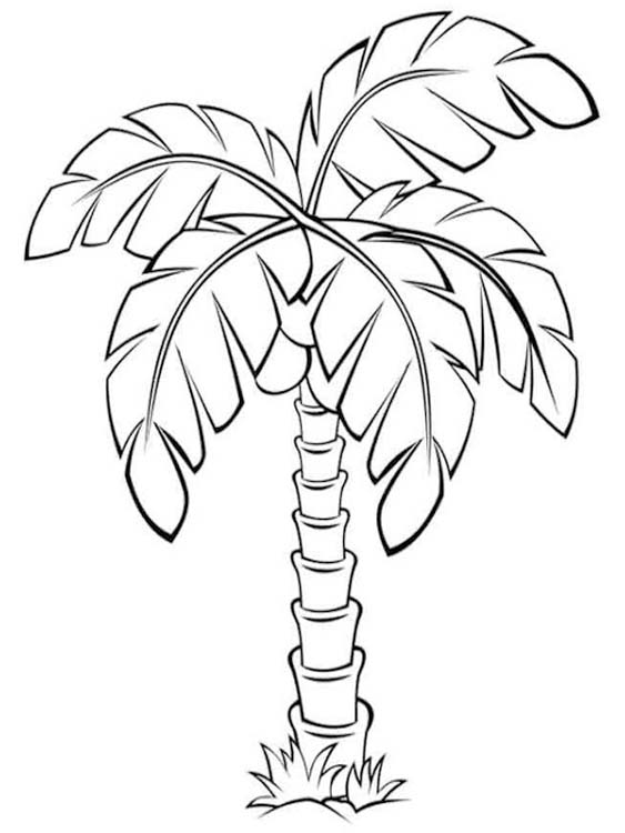Palmboom gratis simpel
