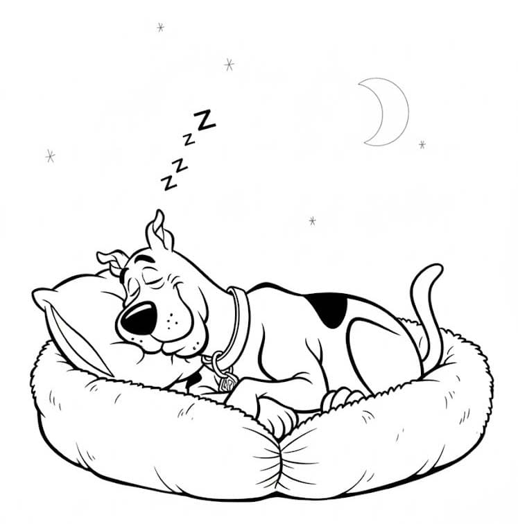 Scooby Doo gratis voor kinderen