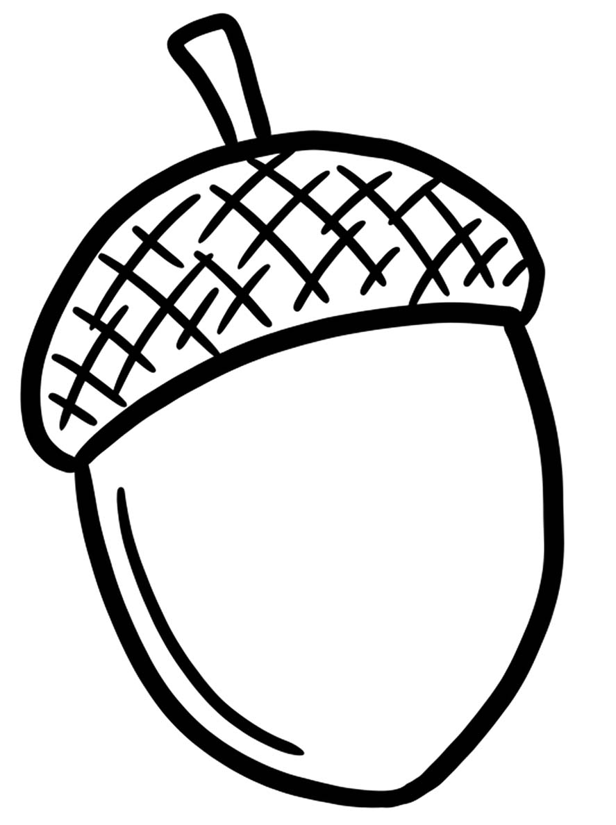 Tekenen Eikel afdrukbaar basis