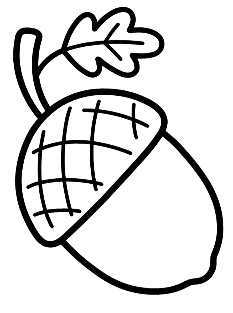 Tekenen Eikel gratis afdrukbaar simpel