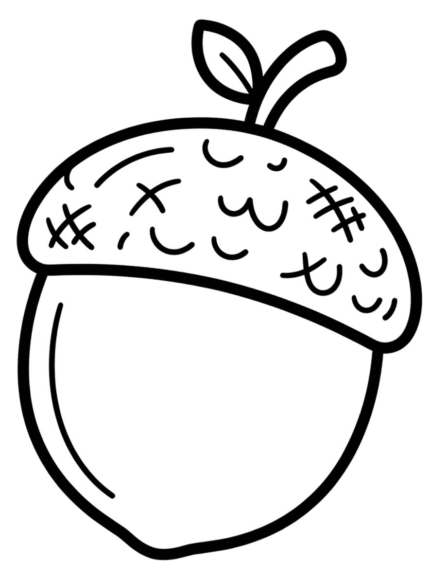 Tekenen Eikel gratis basis