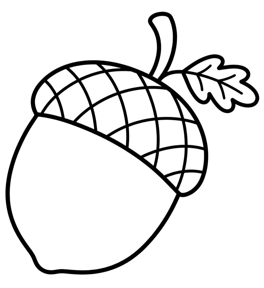 Tekenen Eikel gratis eenvoudig