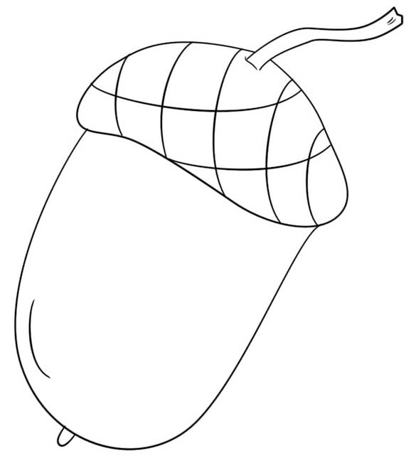 Tekenen Eikel gratis voor kinderen