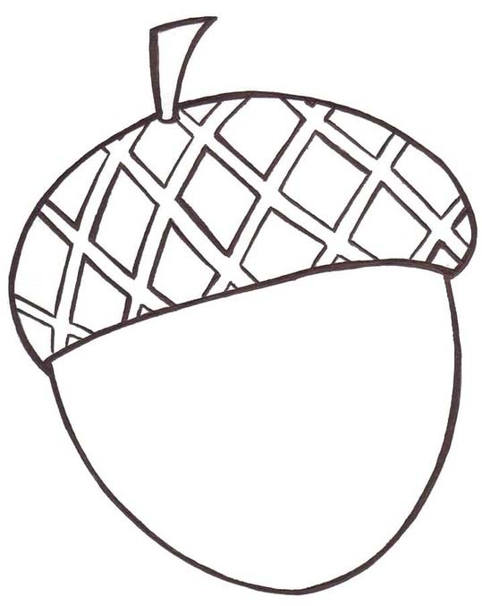 Tekenen Eikel simpel