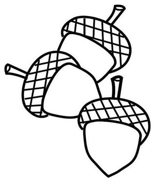 Tekenen Eikel voor kinderen