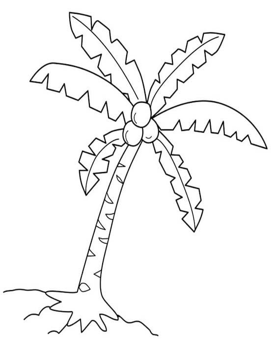 Tekenen Palmboom afdrukbaar eenvoudig