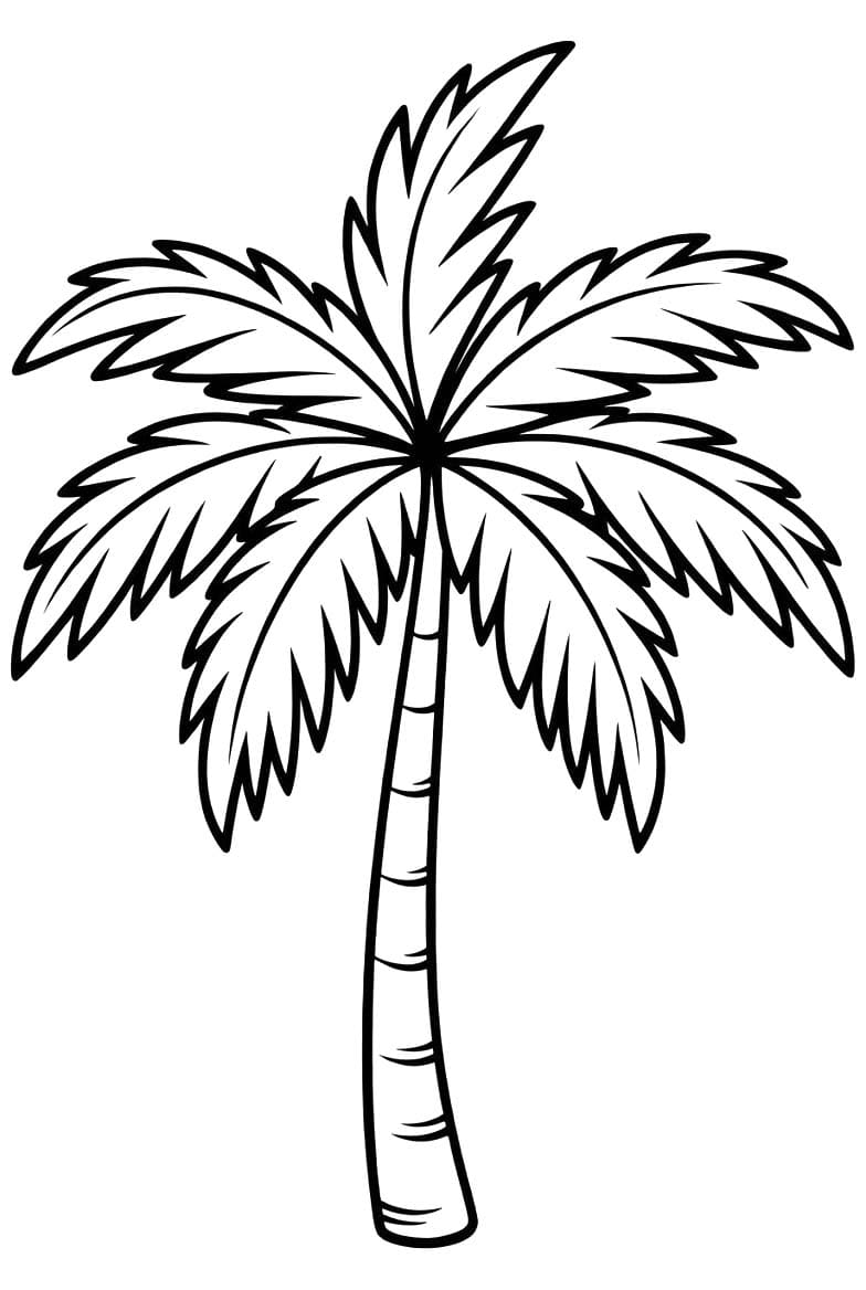 Tekenen Palmboom gratis basis