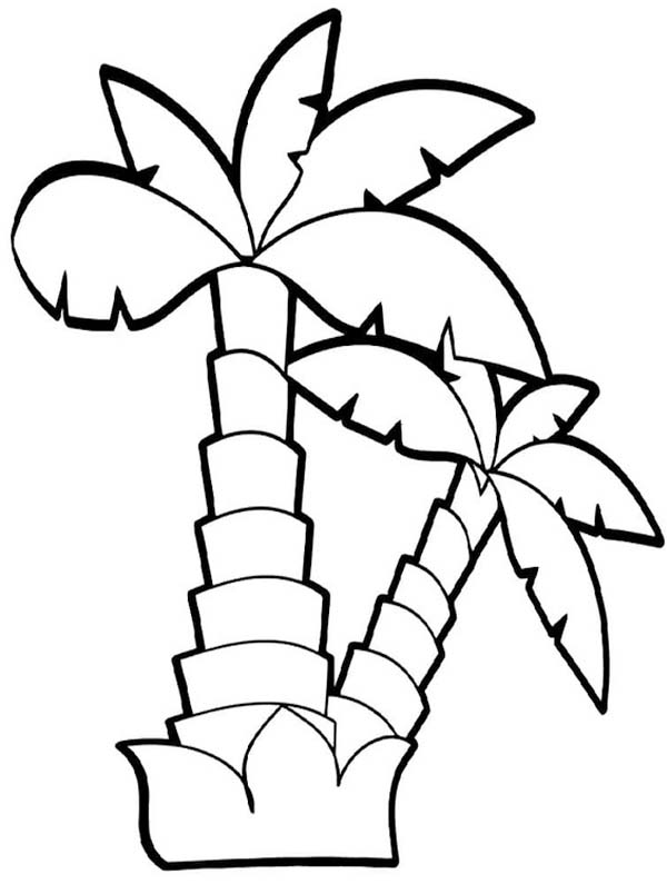 Tekenen Palmboom gratis simpel