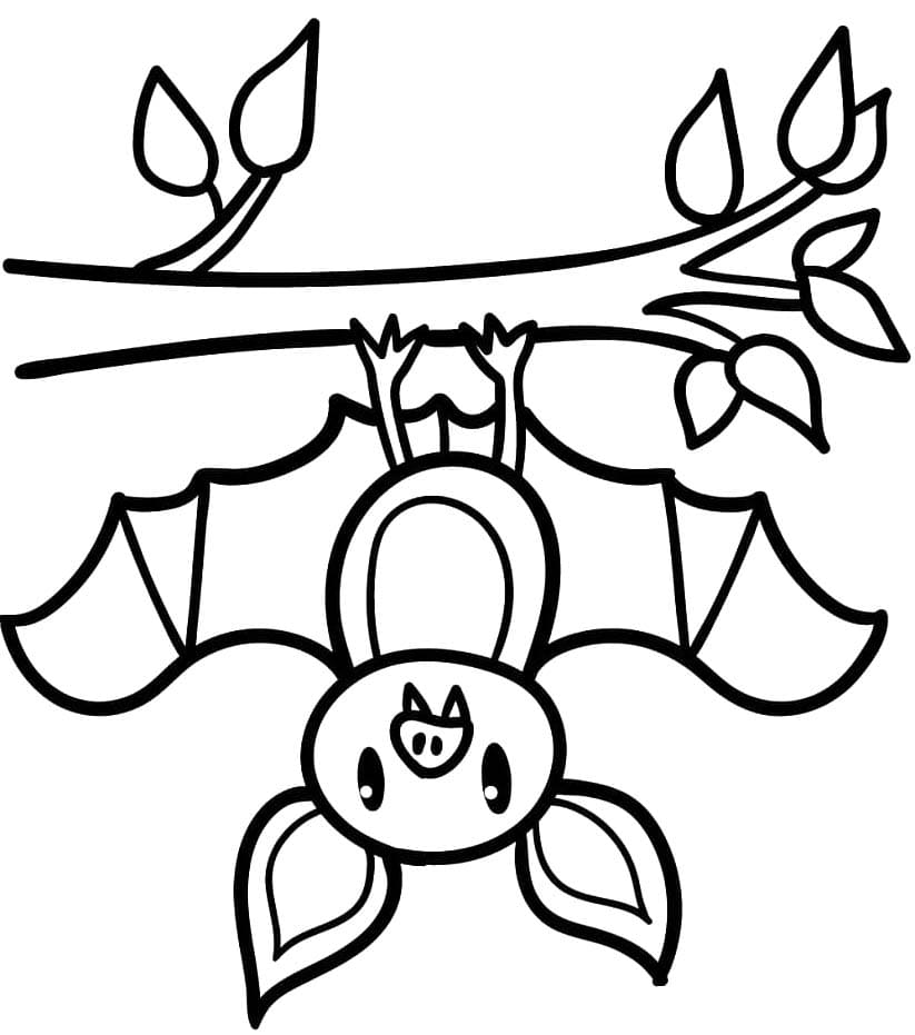 Tekenen Vleermuizen gratis eenvoudig