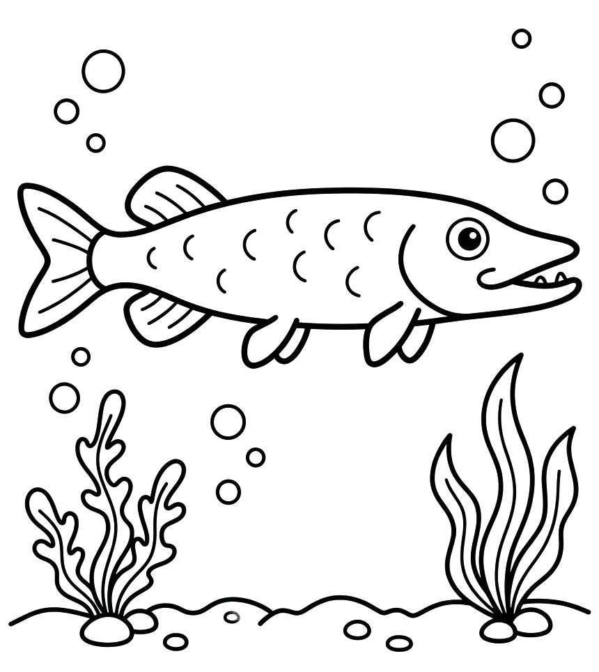 Afbeelding Snoek afdrukbaar