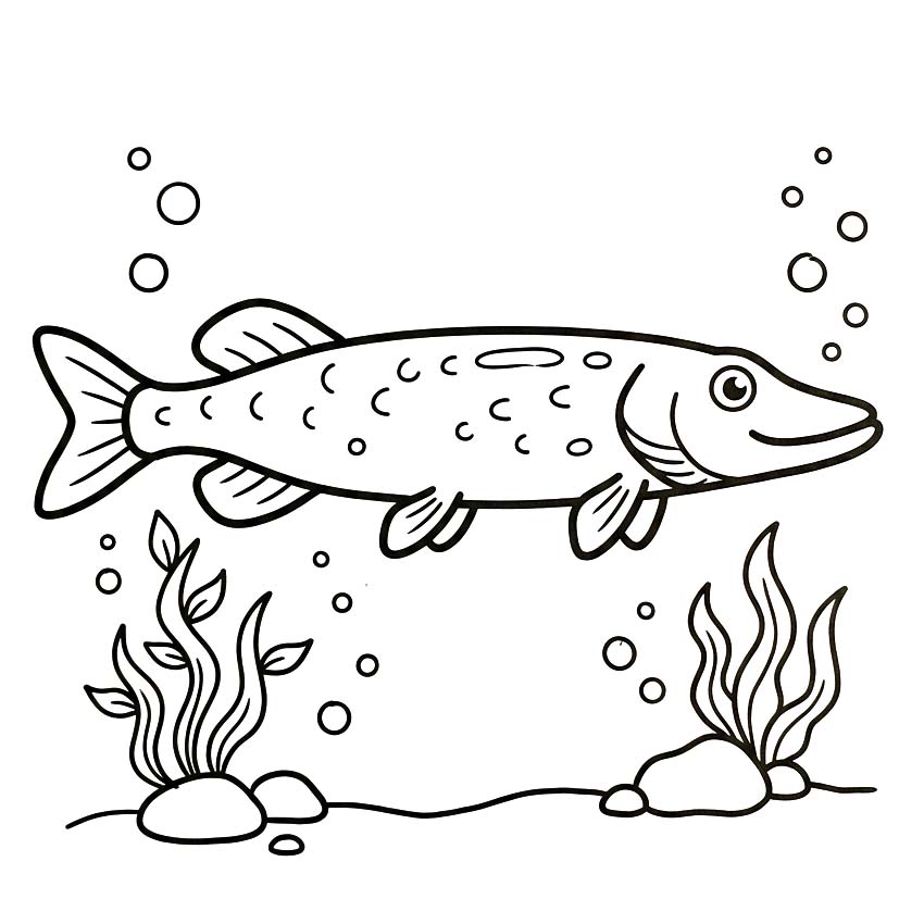 Afbeelding Snoek gratis